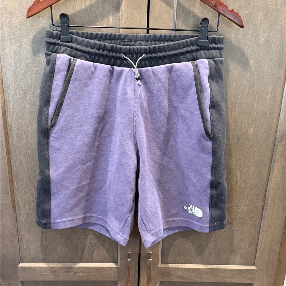 The North Face Men's Colorblock Fleece Drawstring Athletic Shorts Purple Gray